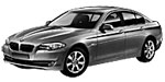 BMW F10 U1021 Fault Code